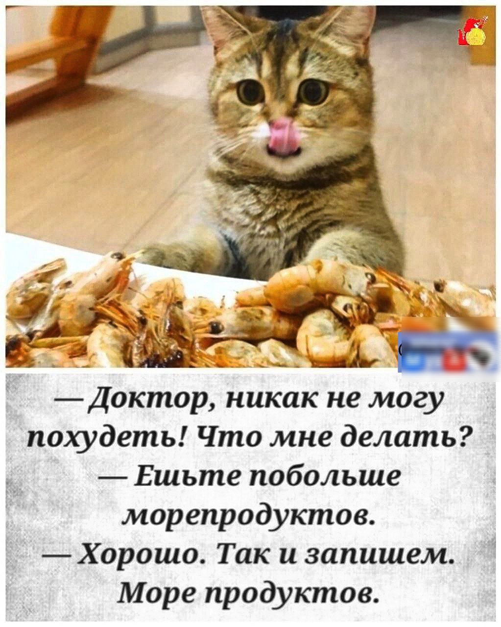 Доктор никак не могу похудеть Что мне делать Ешьте побольше морепродуктов Хорошо Так и запишем Море продуктов