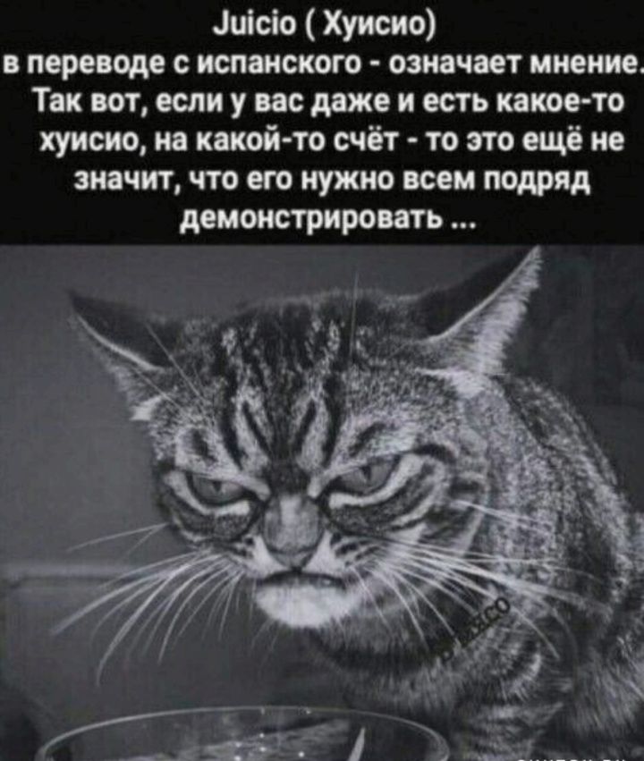 Эиейо Хуисио в переводе с испанского означает мнение Так вот если у вас даже и есть какое то хуисио на какой то счёт то это ещё не значит что его нужно всем подряд демонстрировать