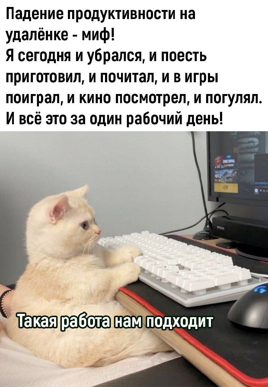 Падение продуктивности на удалёнке миф Я сегодня и убрался и поесть приготовил и почитал и в игры поиграл и кино посмотрел и погулял И всё это за один рабочий день ы ТТакаяработатнамподходит