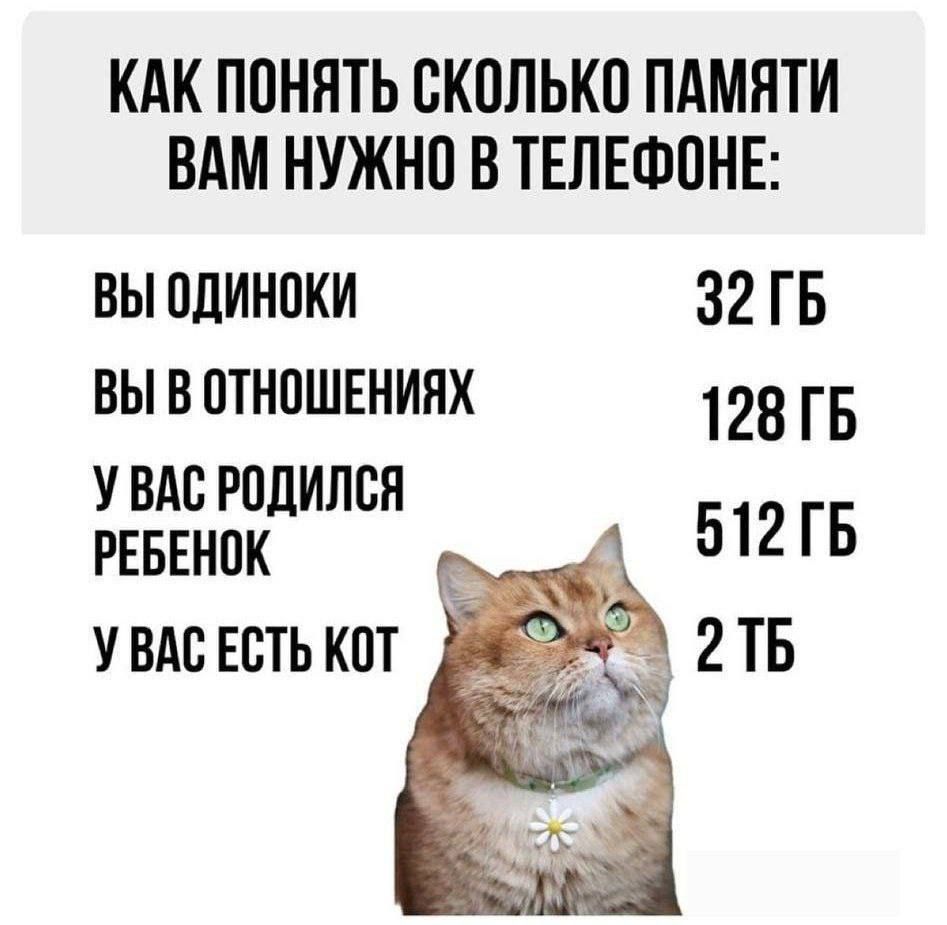 КАК ПОНЯТЬ СКОЛЬКО ПАМЯТИ ВАМ НУЖНО В ТЕЛЕФОНЕ ВЫ ОДИНОКИ 32 ГБ ВЫ ВОТНОШЕНИЯХ 128 ГБ пК ва УВАС ЕСТЬ КОТ