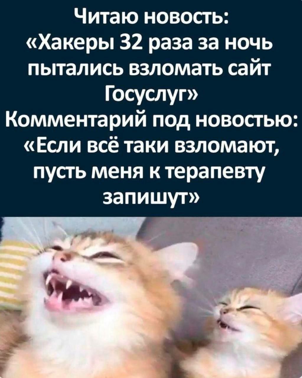 Читаю новость Хакеры 32 раза за ночь пытались взломать сайт Госуслуг Комментарий под новостью Если всё таки взломают пусть меня к терапевту запишут