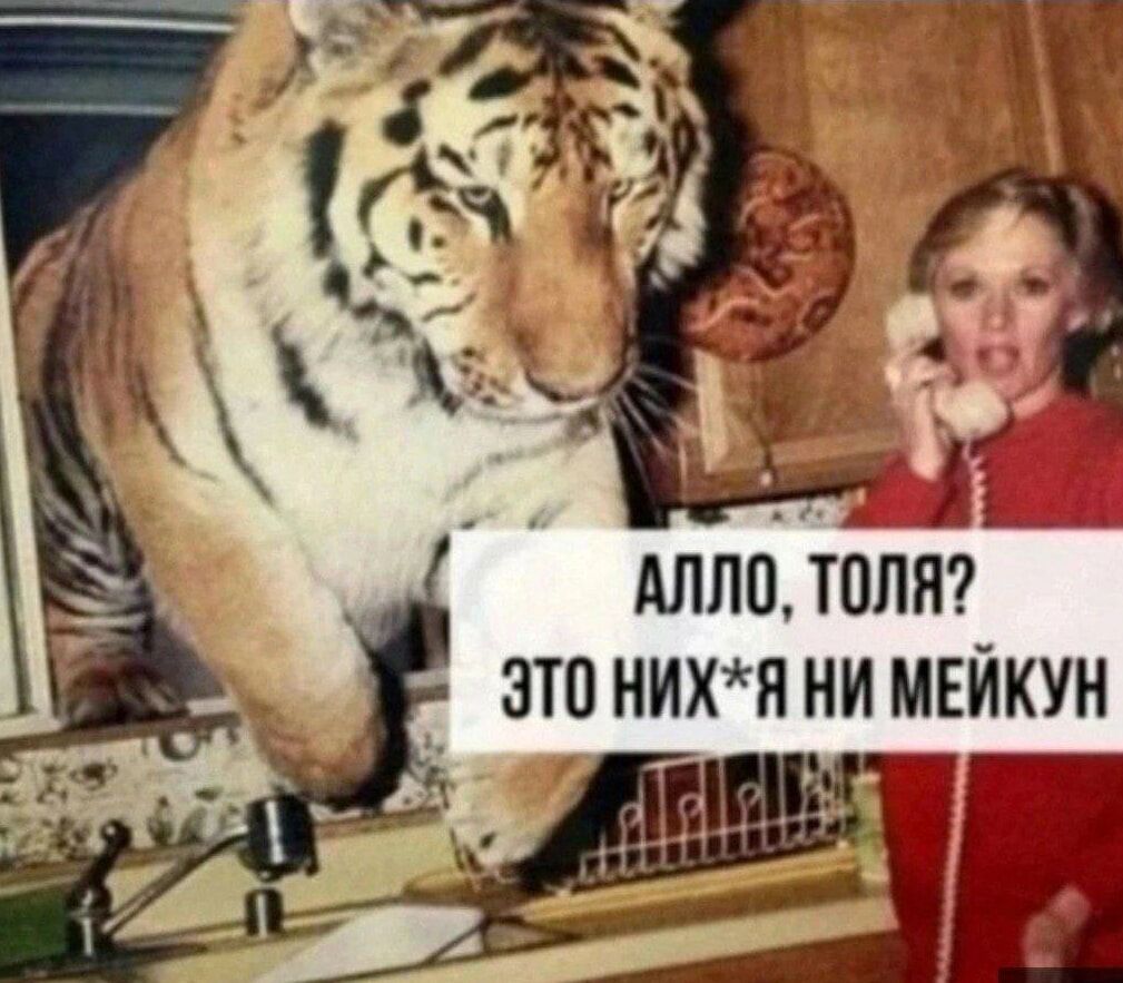 _ АЛЛО ТОЛЯ ЭТО НИХЯ НИ МЕЙКУН