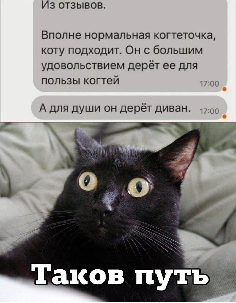 Из оТЗЫВОВ Вполне нормальная когтеточка коту подходит Он с большим удовольствием дерёт ее для пользы когтей А для души он дерёт диван Таков путь