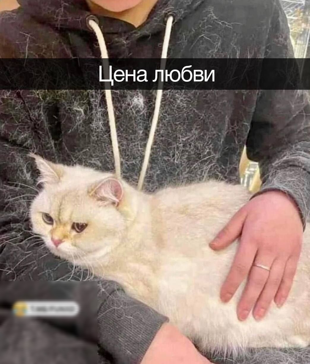 Эат 2 Цена любви р ЗЕ й