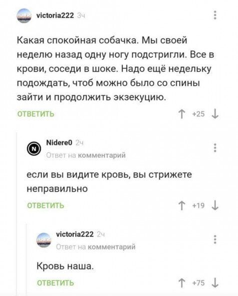 н еона22 Какая спокойная собачка Мы своей неделю назад одну ногу подстригли Все в крови соседи в шоке Надо ещё недельку подождать чтоб можно было со спины зайти и продолжить экзекуцию ОТВЕТИТЬ Т 25 0 Мбегео комментарий если вы видите кровь вы стрижете неправильно ОТВЕТИТЬ Т т Меюпа222 комментарий Кровь наша ОТВЕТИТЬ Т