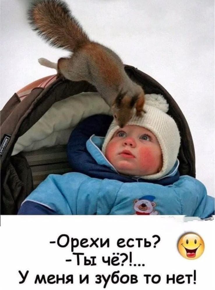 Маоесаеы Орехи есть Ты чё2 У меня и зубов то нет