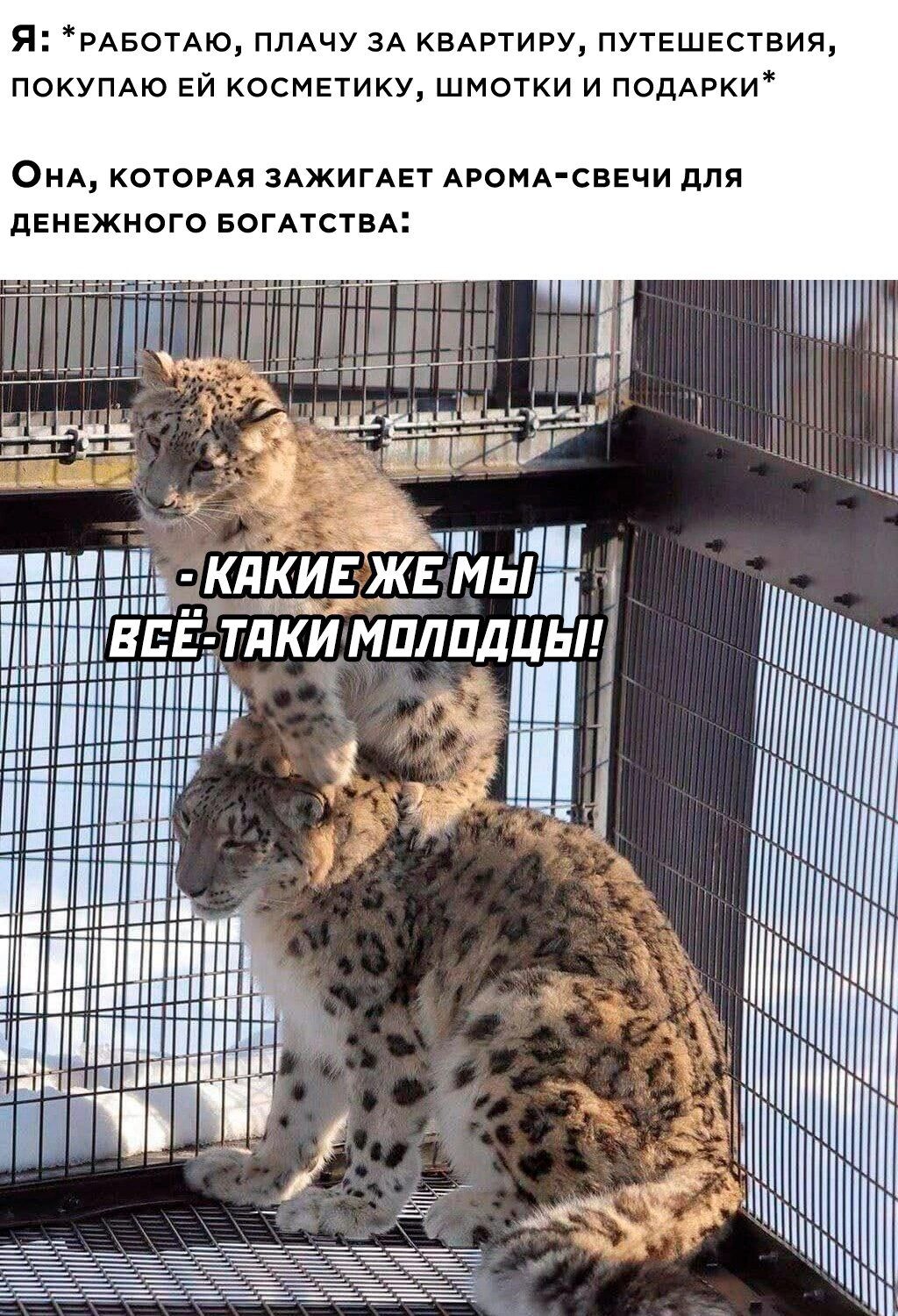Я РАБОТАЮ ПЛАЧУ ЗА КВАРТИРУ ПУТЕШЕСТВИЯ ПОКУПАЮ ЕЙ КОСМЕТИКУ ШМОТКИ И ПОДАРКИ ОНА КОТОРАЯ ЗАЖИГАЕТ АРОМА СВЕЧИ ДЛЯ ДЕНЕЖНОГО БОГАТСТВА 2а 3 КАКИЕЖЕ мь_