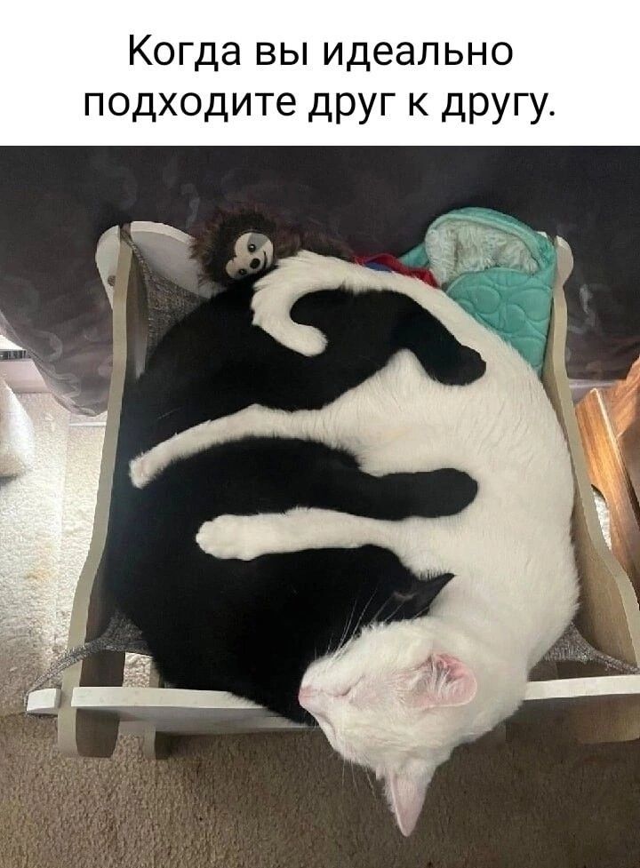 Когда вы идеально подходите друг к другу Ёч Ы ь ь ь