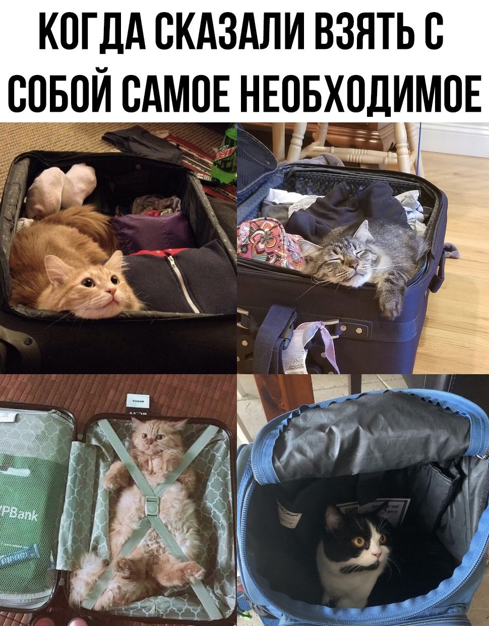 КОГДА СКАЗАЛИ ВЗЯТЬ С ЕОБПИ САМОЕ НЕПБХПДИМПЕ