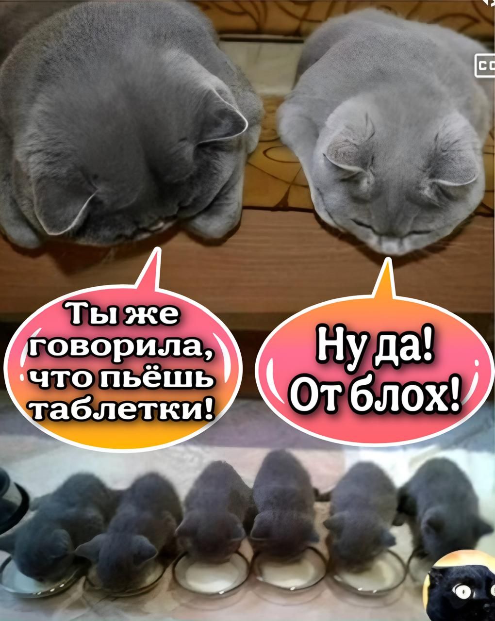 говорила чтопвешь таблетки