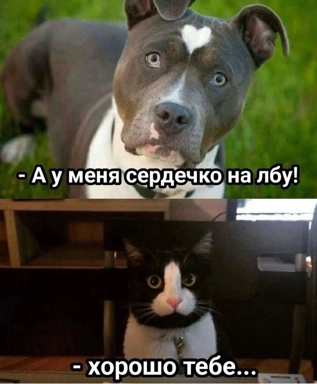 я хорошо тебе дечко на лбу ы 1 ГО