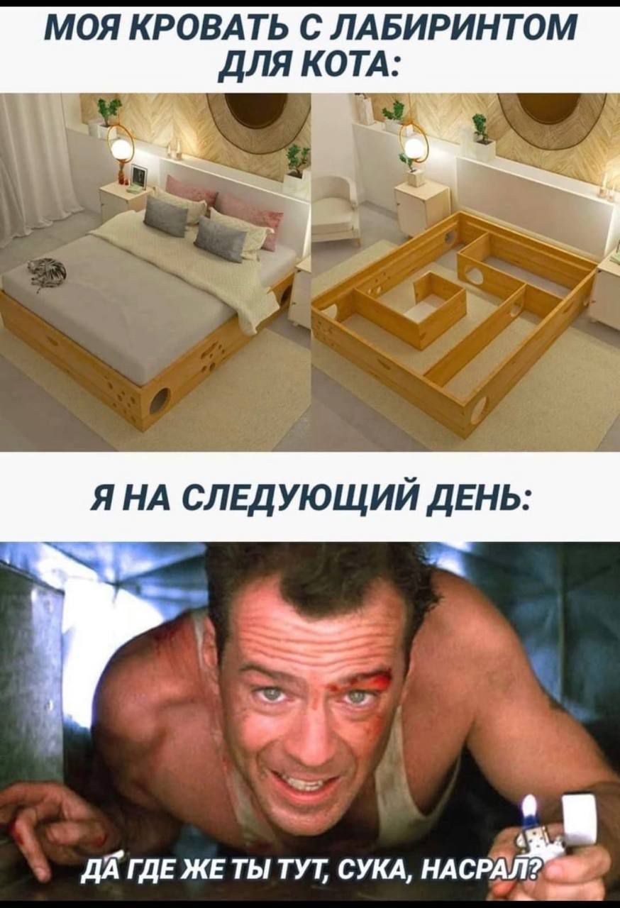 МОЯ КРОВАТЬ С ЛАБИРИНТОМ ДЛЯ КОТА 2 й ДА ГДЕ ЖЕ ТЫ ТУТ СУКА НАСРАЛ і
