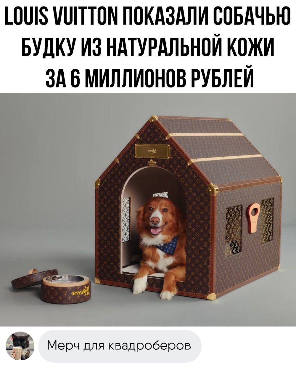 10105 МИТТОМ ПОКАЗАЛИ СОБАЧЬЮ БУДКУ ИЗ НАТУРАЛЬНОЙ КОЖИ ЗА 6 МИЛЛИОНОВ РУБЛЕЙ Мерч для квадроберов