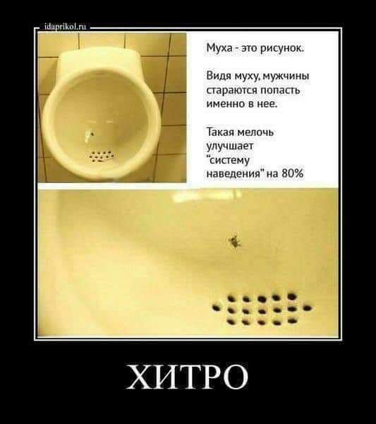 Муха это рисунок Видя муху мужчины стараются попасть именно в нее Такая мелочь улучшает систему наведения на 80