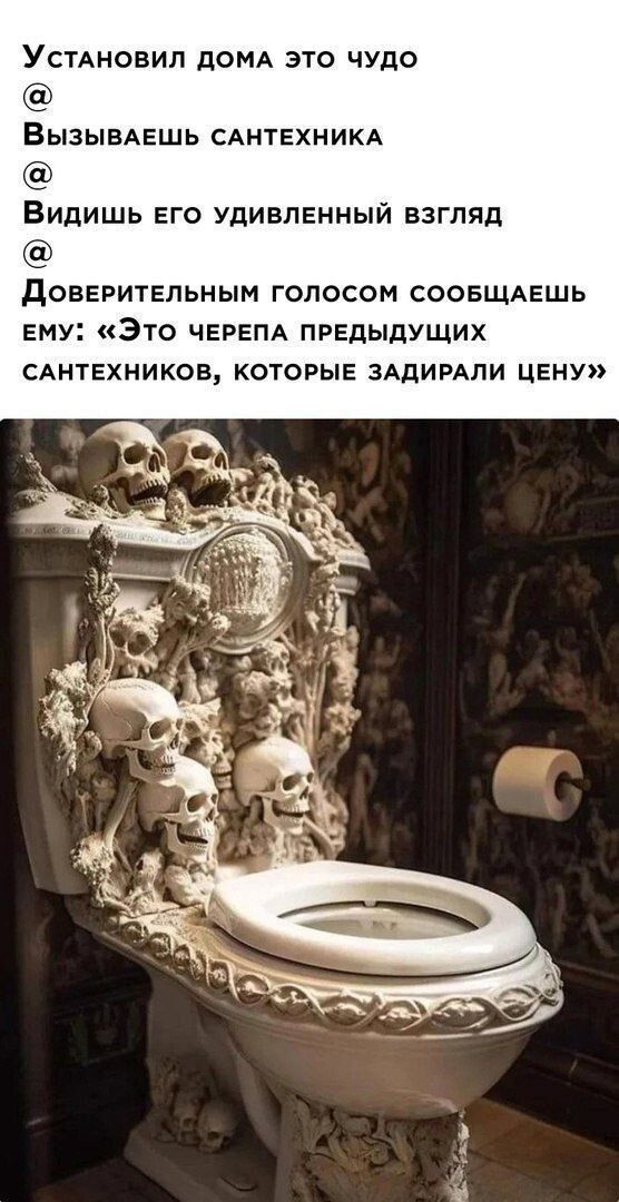 УстАНновил ДОМА ЭТО ЧУДО ВызывАЕШЬ САНТЕХНИКА Видишь ЕГО УДИВЛЕННЫЙ ВЗГЛЯД дОЕЕРИТЕПЬНЬіМ ГОЛОСОМ СООБЩАЕШЬ ЕМУ Это ЧЕРЕПА ПРЕДЫДУЩИХ САНТЕХНИКОВ КОТОРЫЕ ЗАДИРАЛИ ЦЕНУ
