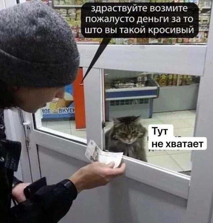здраствуйте возмите 21 пожалусто деньги за то што вы такой кросивый т ТУт не хватает