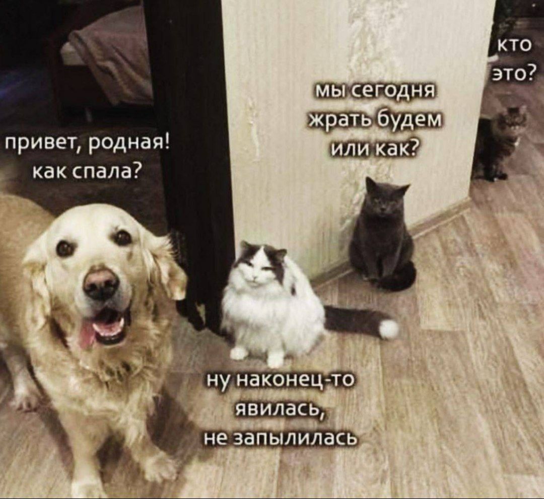 привет родная как спала