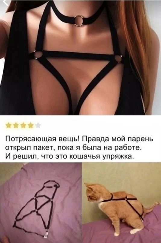 Жай й Потрясающая вещь Правда мой парень открыл пакет пока я была на работе И решил что это кошачья упряжка