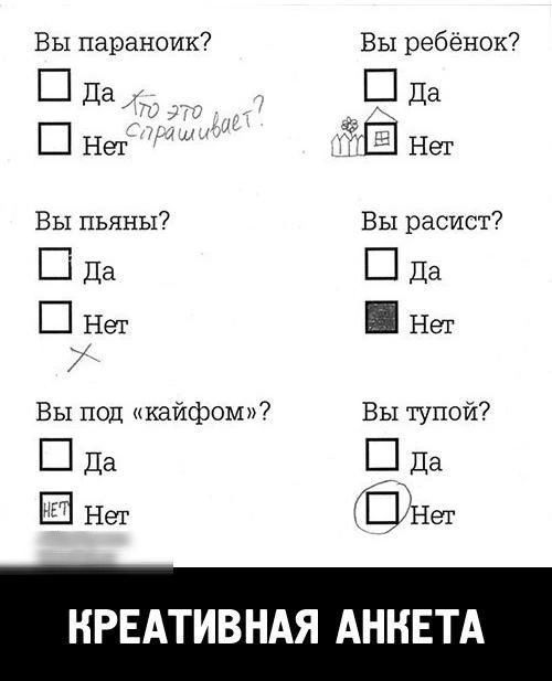 Вы параноик Да рашивй Нет Вы пьяны Да Нет в Вы под кайфом Да Е7 МАНет Вы ребёнок Да 1 Нет Вы расист Да нег Вы тупой КРЕАТИВНАЯ АНКЕТА