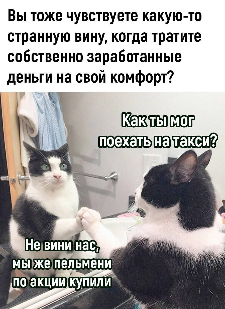 Вы тоже чувствуете какую то странную вину когда тратите собственно заработанные деньги на свой комфорт Какстымог поехатынаутакси р Не вини насча мыжепельмени ПОакции КуПИлИ доАул