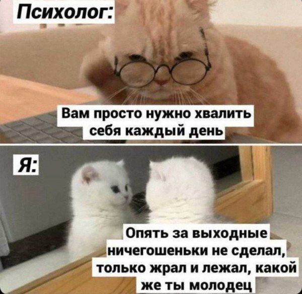 Вам просто нужно хвалить себя каждый день ЁЁ я Опять за выходные ничегошеньки не сделал только жрал и лежал какой же ты молодец