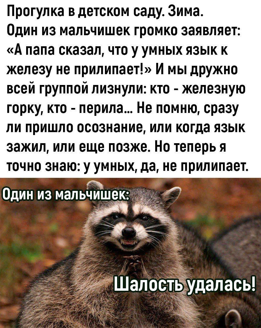 Прогулка в детском саду Зима Один из мальчишек громко заявляет А папа сказал что у умных язык к железу не прилипает И мы дружно всей группой лизнули кто железную горку кто перила Не помню сразу ли пришло осознание или когда язык зажил или еще позже Но теперь я точно знаю у умных да не прилипает Га Один из мальчишек та Шалостыудалась ю