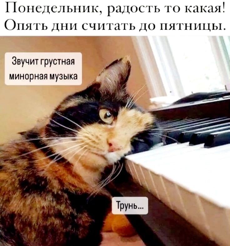 Понедельник радость то какая ПЯГЬ дни считать до пятницы Звучит грустная Вк минорная музыка