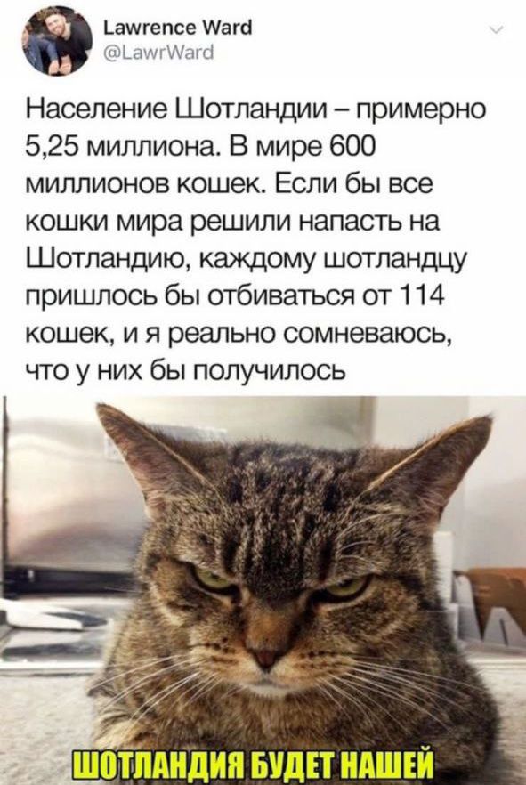 8 амигепсе Уага ауугага Население Шотландии примерно 525 миллиона В мире 600 миллионов кошек Если бы все кошки мира решили напасть на Шотландию каждому шотландцу пришлось бы отбиваться от 114 кошек и я реально сомневаюсь что у них бы получилось ШПТПАНДИП БУДЕТ НАШЕЙ