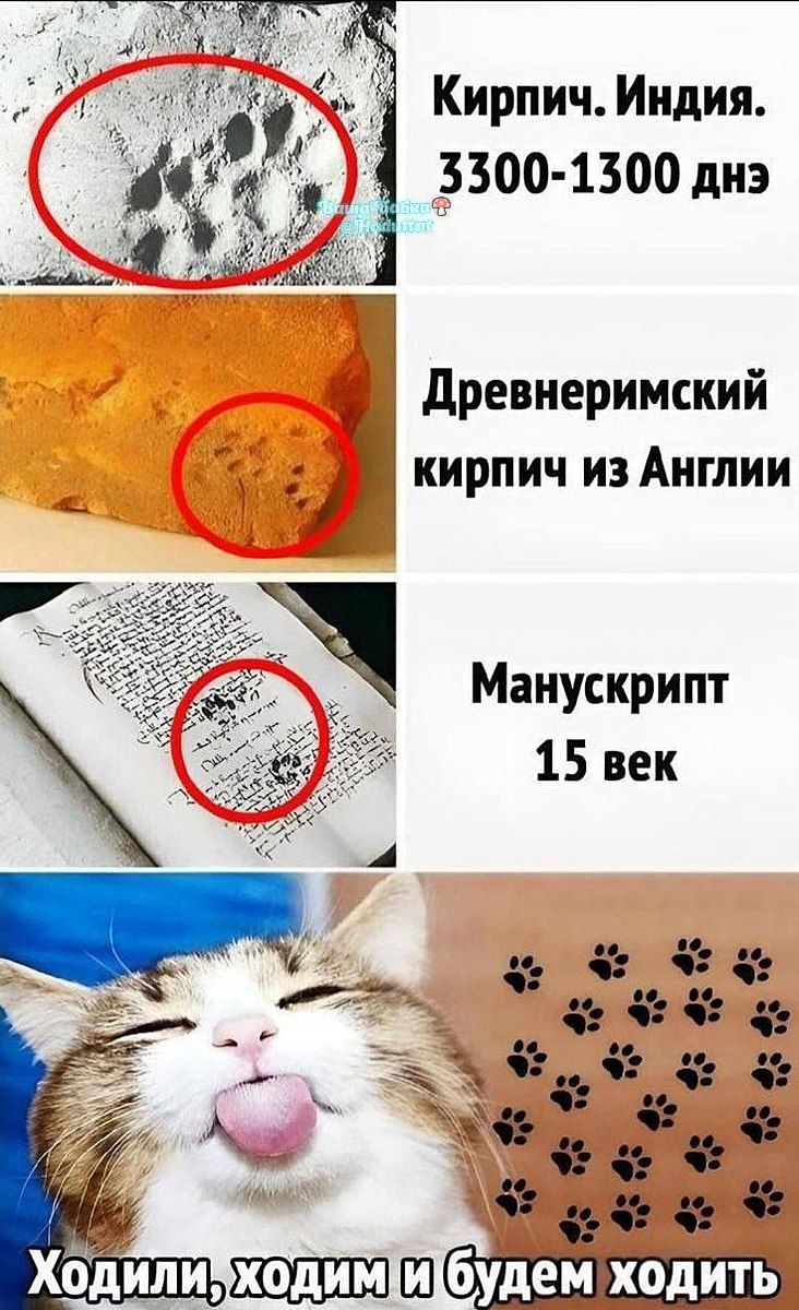 Кирпич Индия 3500 1500 днэ Й Древнеримский В 21 Й кирпич из Англии Манускрипт щшшш