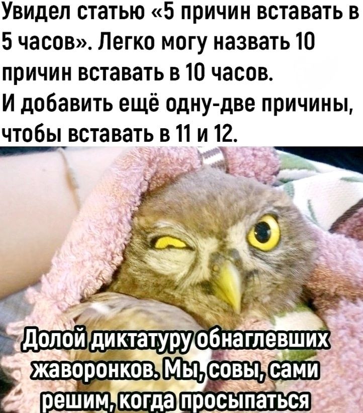 Увидел статью 5 причин вставать в 5 часов Легко могу назвать 10 причин вставать в 10 часов И добавить ещё одну две причины чтобы вставать в 1 и 12