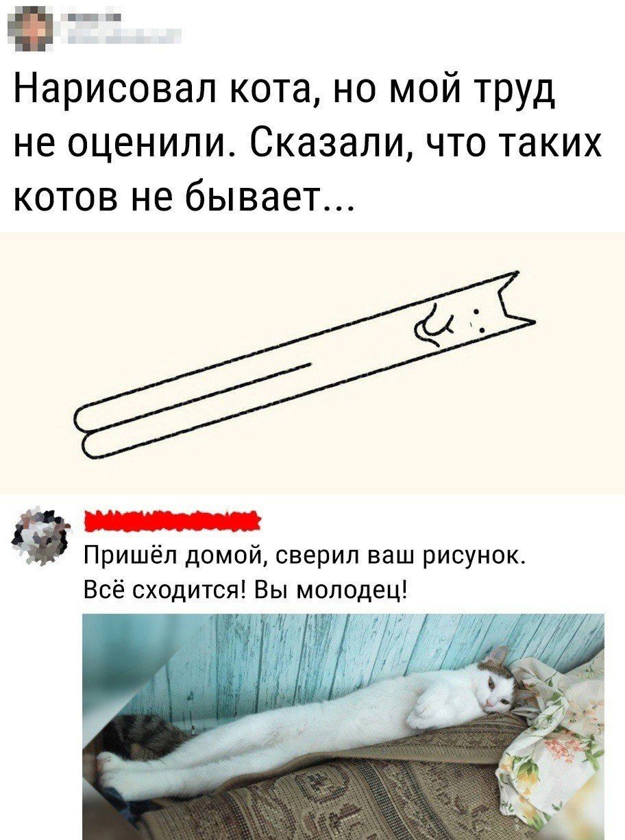 Нарисовал кота но мой труд не оценили Сказали что таких котов не бывает бодронлениЕй Пришёл домой сверил ваш рисунок Всё сходится Вы молодец