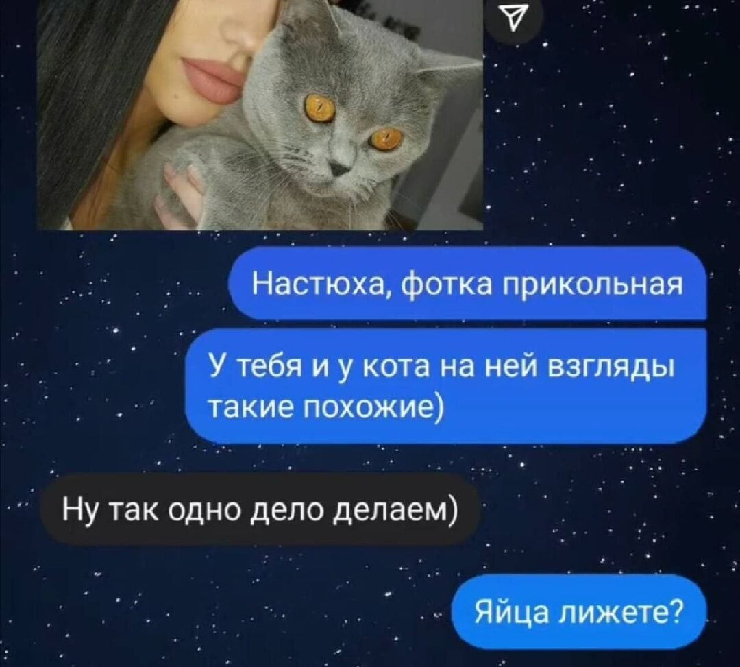 Настюха фотка прикольная У тебя и у кота на ней взгляды такие похожие Ну так одно дело делаем Яйца лижете