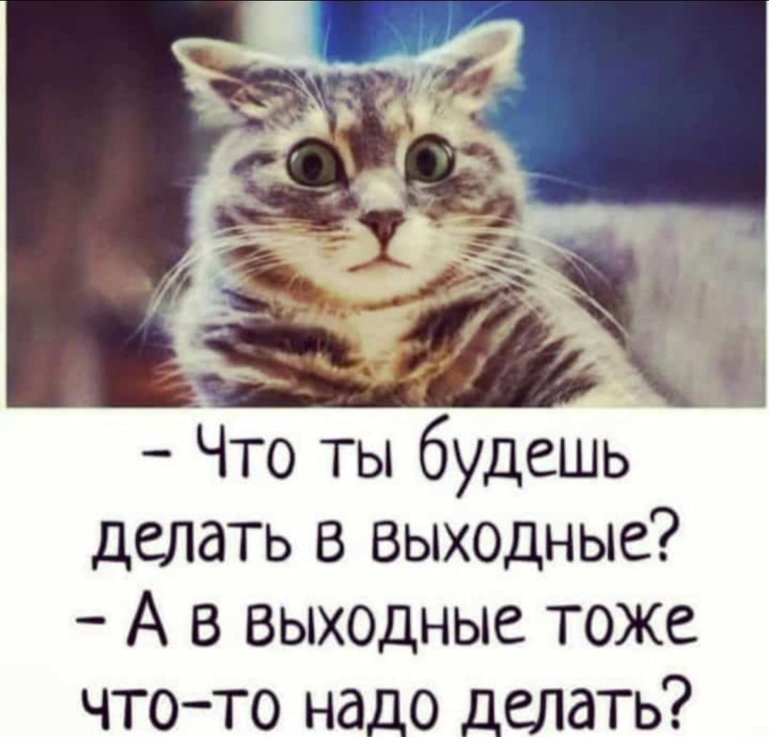 Что ты будешь делать в выходные А в выходные тоже что то надо делать