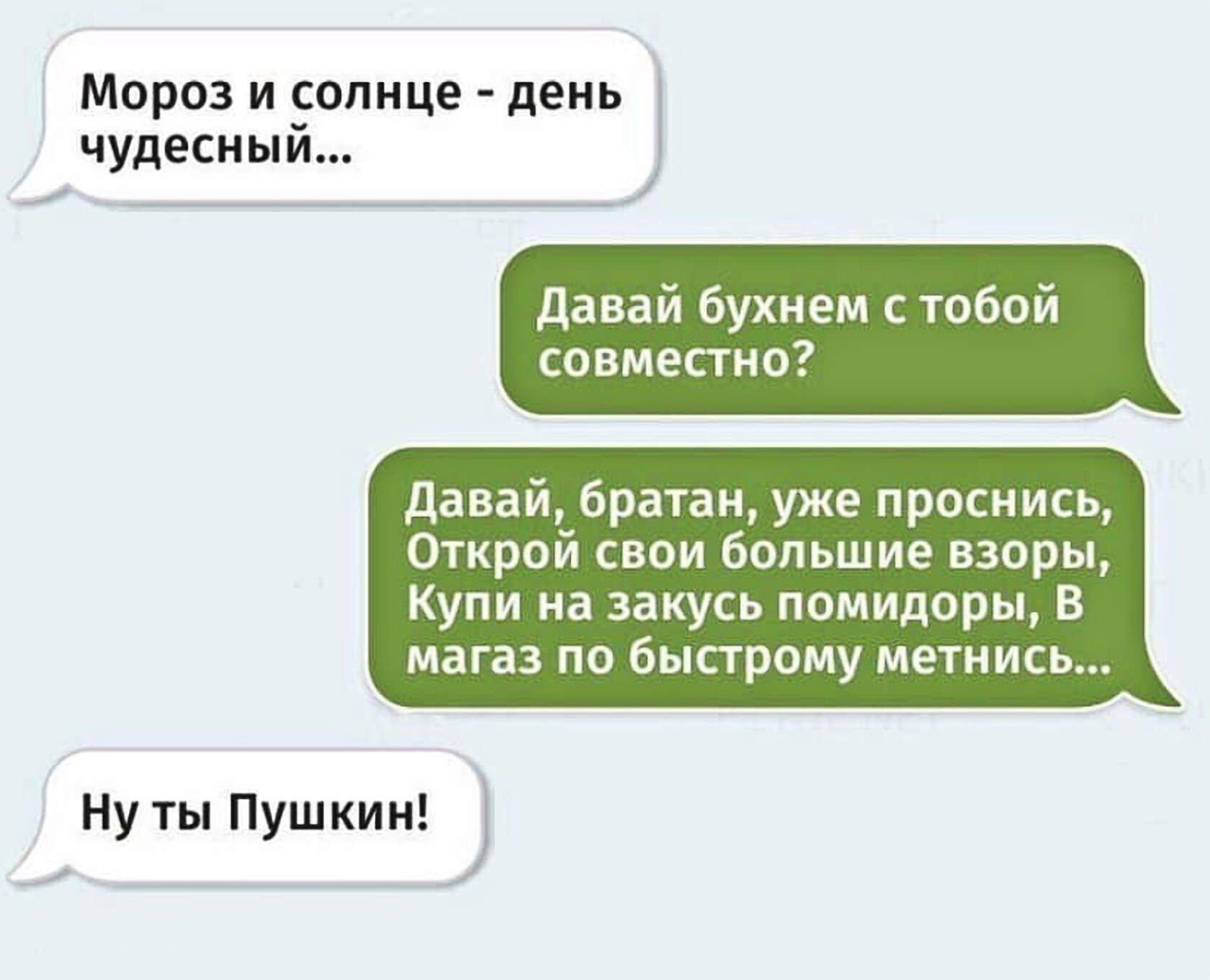 Мороз и солнц ень чудесны р Давай бухнем с тобой совместно Давай братан уже проснись Открой свои большие взоры Купи на закусь помидоры В магаз по быстрому метнись Нуты Пушкии