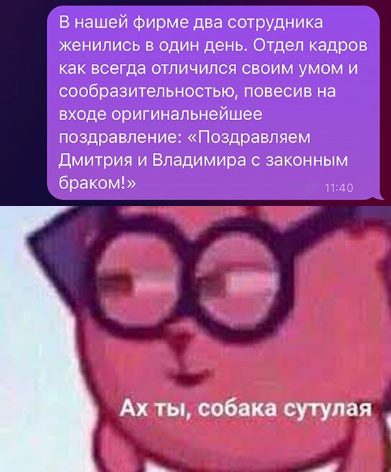 В нашей фирме два сотрудника женились в один день Отдел кадров как всегда отличился своим умом и сообразительностью повесив на входе оригинальнейшее поздравление Поздравляем Дмитрия и Владимира с законным браком Ь 3 Ахты собака сутулая
