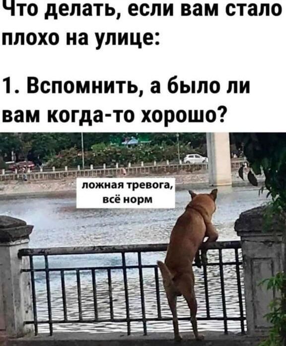 Что делать если вам стало плохо на улице 1 Вспомнить а было ли вам когда то хорошо