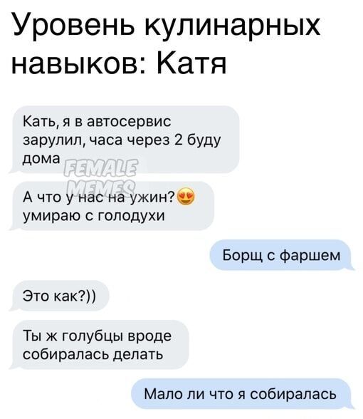 Уровень кулинарных навыков Катя Кать я в автосервис зарулил часа через 2 буду дома А что у нас на ужин умираю с голодухи Борщ с фаршем Это как Ты ж голубцы вроде собиралась делать Мало ли что я собиралась