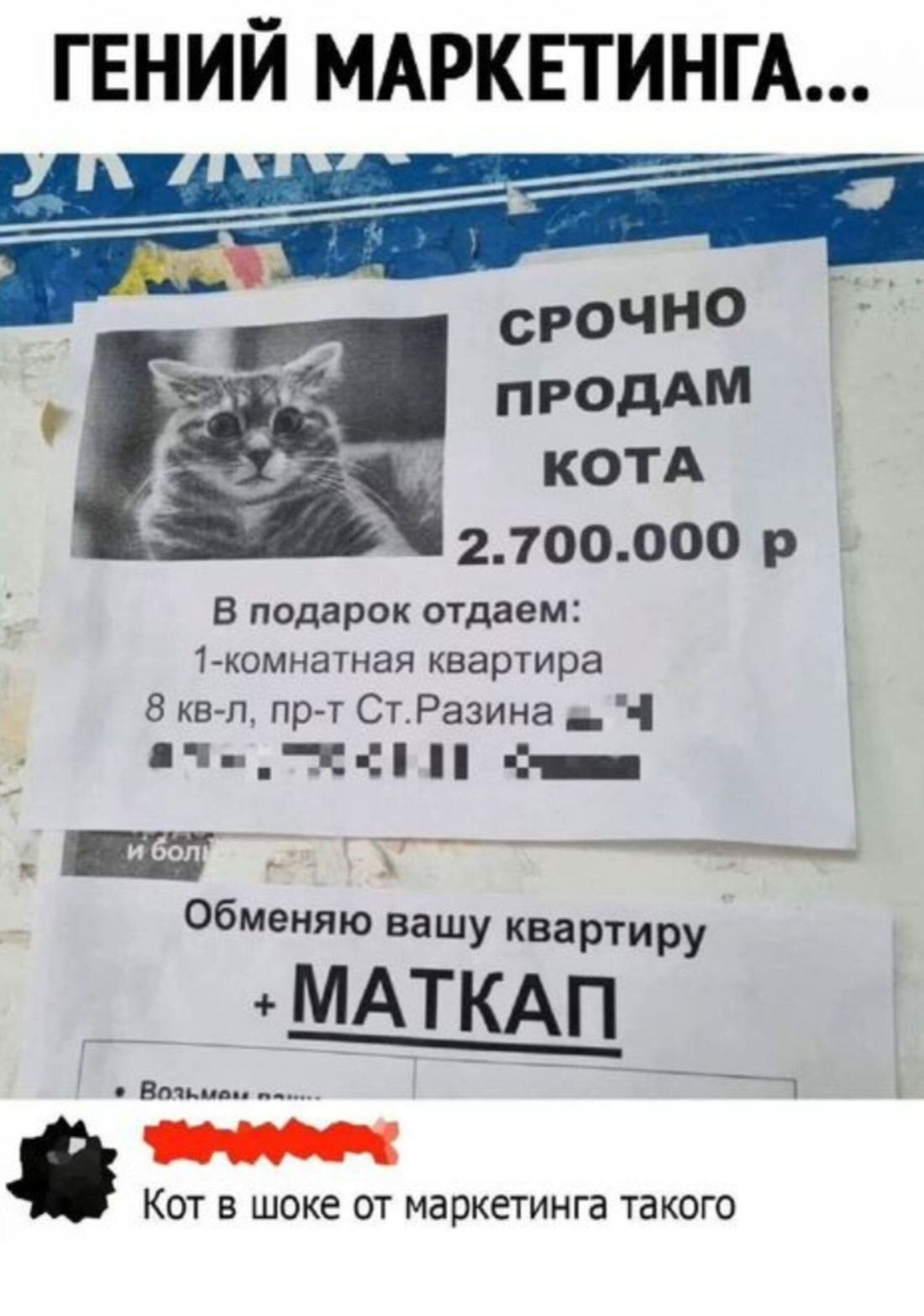 ГЕНИЙ МАРКЕТИНГА тр КРНОСОННОЫЙ сРочНОо ПРОДАМ КОТА 2700000 р В подарок отдаем 1 комнатная квартира 8 кв л пр т СтРазина а ы аче КСЛМ лана ш2 с Обменяю вашу квартиру МАТКАП КЗр а Кот в шоке от маркетинга такого Н