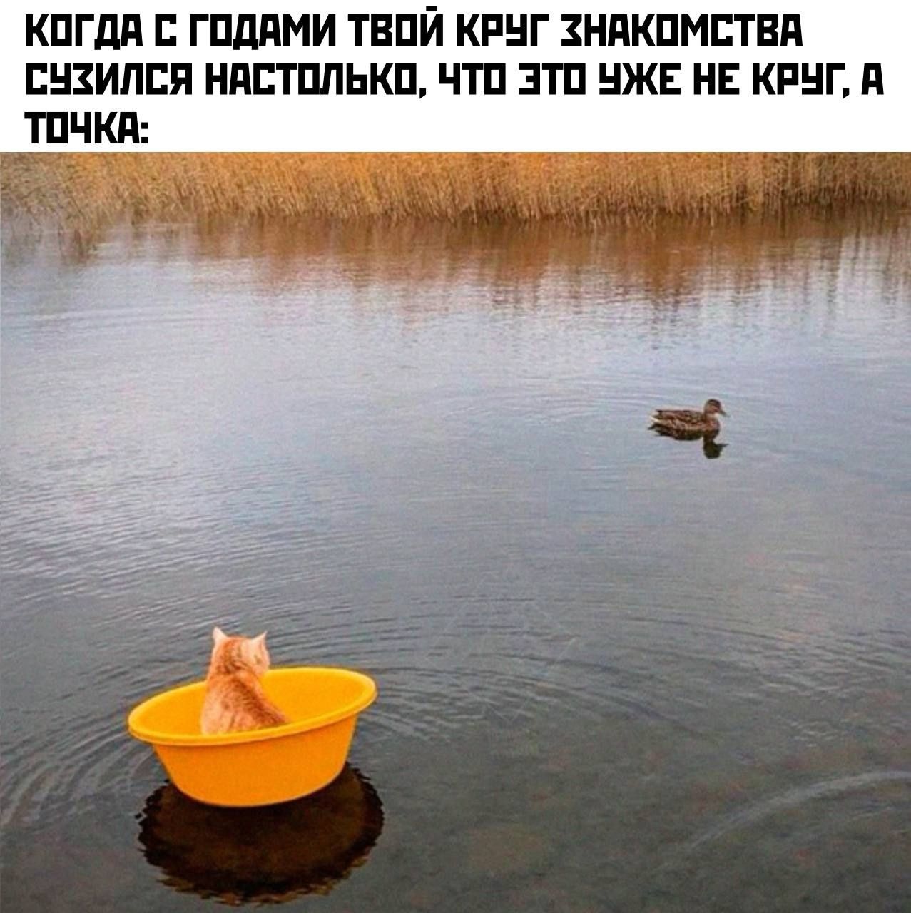 КОГДА С ГОДАМИ ТЕОЙ КРУГ ХНАКОМСТВА СУХИЛСЯ НАСТОЛЬКО ЧТО ЭТО УЖЕ НЕ КРУГ А ТОЧКА