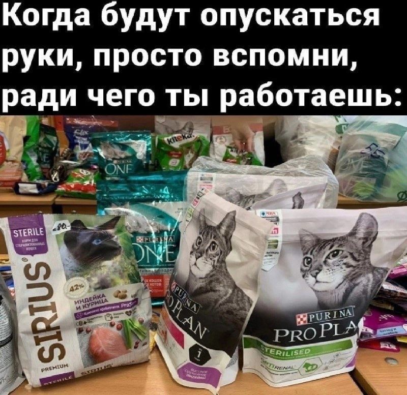 Когда будут опускаться руки просто вспомни ради чего ты работаешь Г