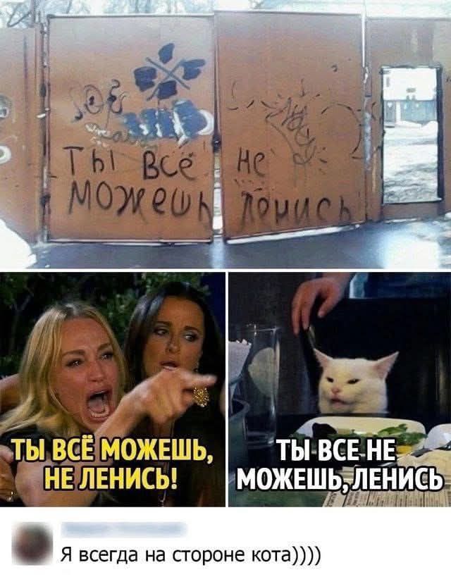 ир ТЫ ВСЕ НЕ МОЖЕЩЬ ЛЕ Я всегда на стороне кота