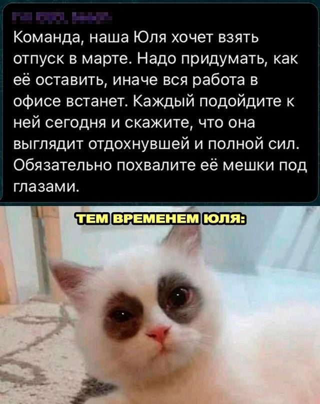 Команда наша Юля хочет взять отпуск в марте Надо придумать как её оставить иначе вся работа в офисе встанет Каждый подойдите к ней сегодня и скажите что она выглядит отдохнувшей и полной сил Обязательно похвалите её мешки под глазами ГЕМ ВРЕМЕНЕМ ЮЛЯ ъ