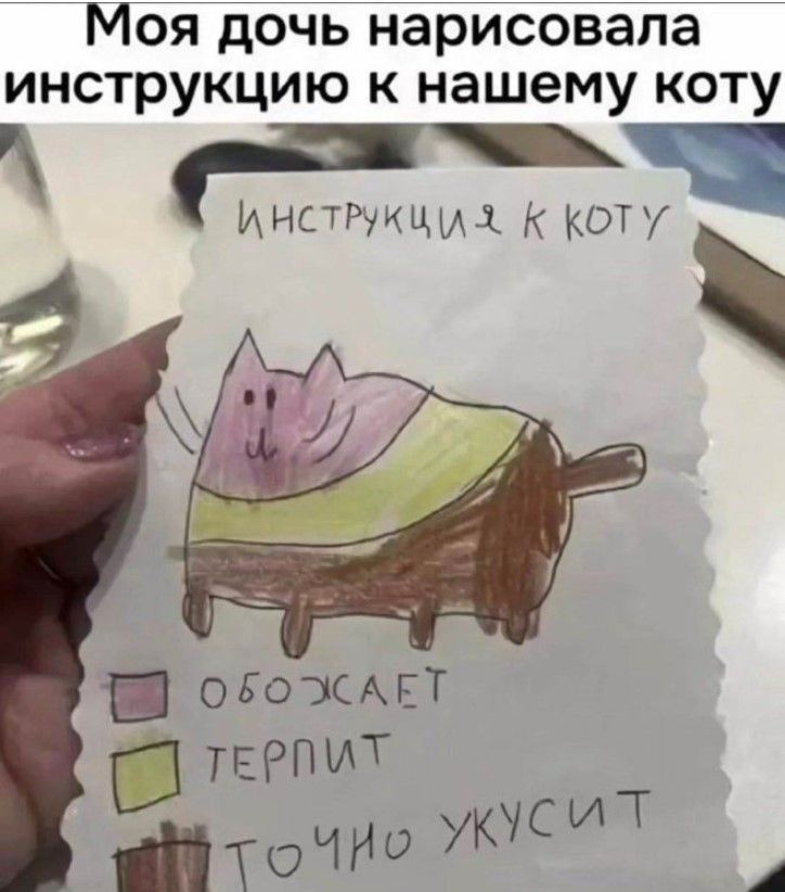 Моя дочь нарисовала инструкцию к нашему коту Ё ИНСтРуКци К котуч р ОЕОСАЕ О ТЕРПМТ ю и айй тОЧИо УС