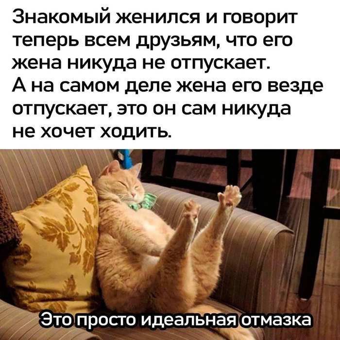 Знакомый женился и говорит теперь всем друзьям что его жена никуда не отпускает А на самом деле жена его везде отпускает это он сам никуда не хочет ходить Этопросто идеапы ттмазка