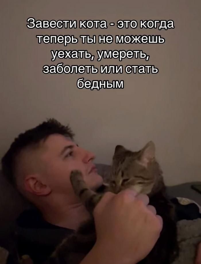 Завестикотас этокогда леперьтынеможешь уехатьумереть заболетьилистать