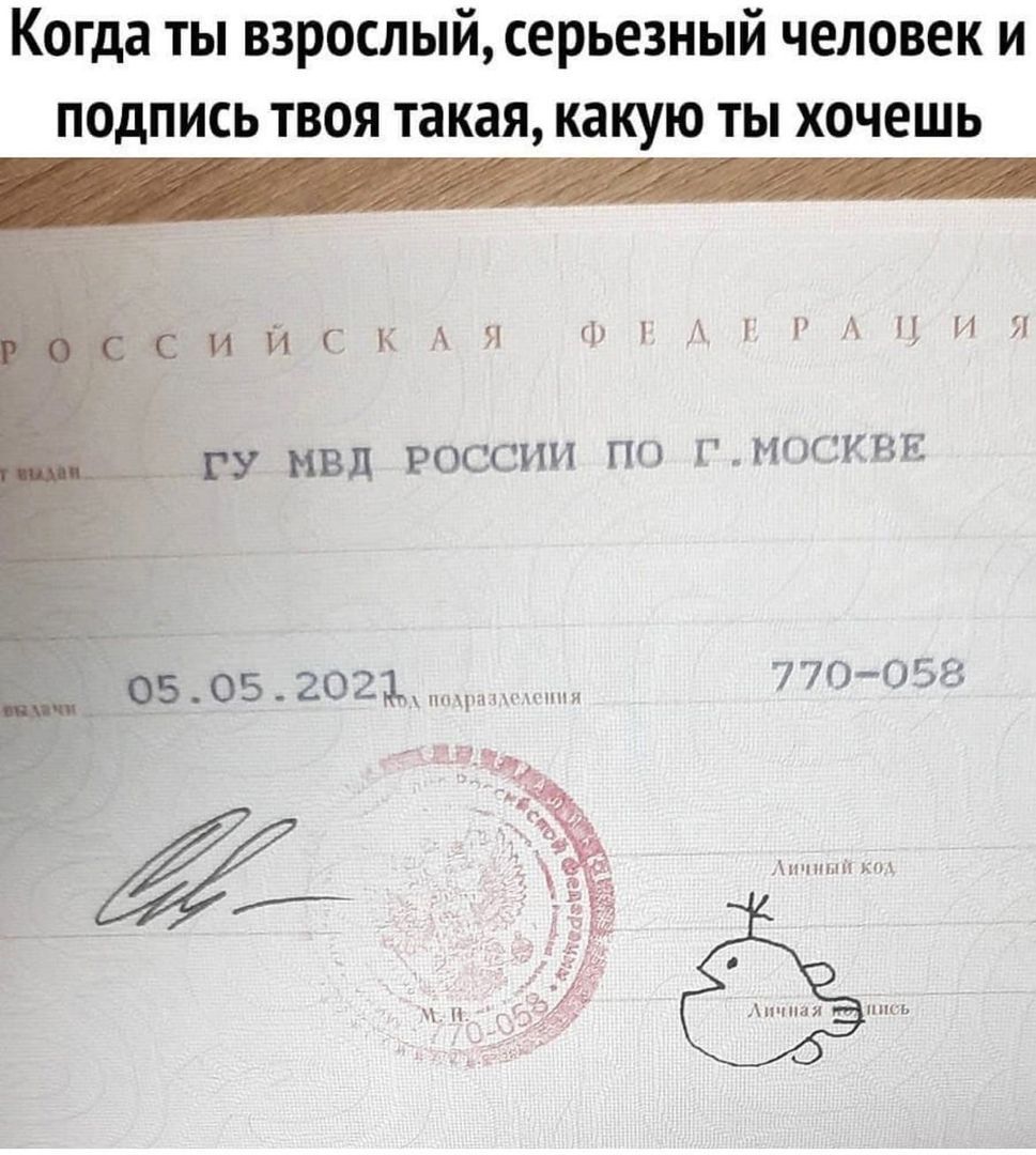 Когда ты взрослый серьезный человек и подпись твоя такая какую ты хочешь оК ля ФЕДЕРАЦИЯ МВД РОССИИ ПО Г МОСКВЕ 052021 770 058