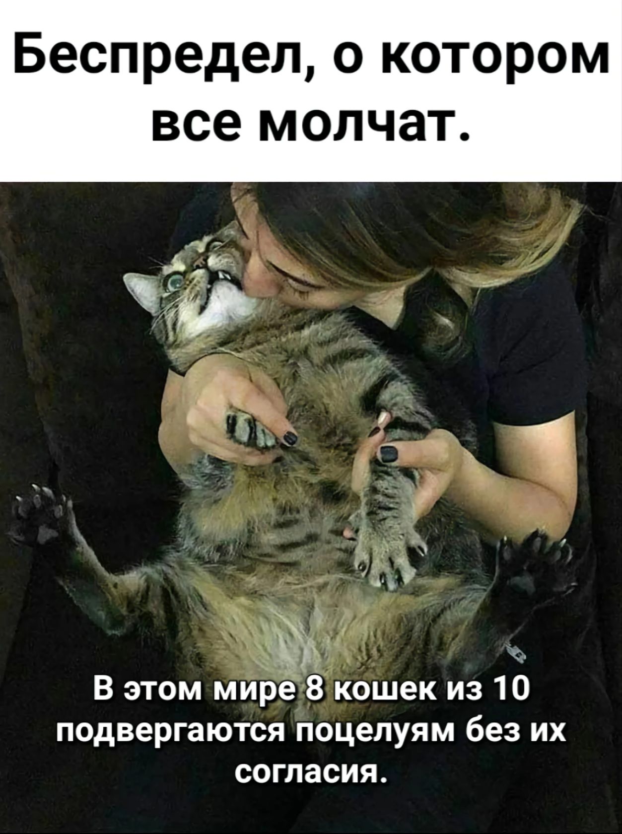Беспредел о котором все молчат В этом мире8 кошек из 10 подвергаются поцелуям без их Гео у Те Й