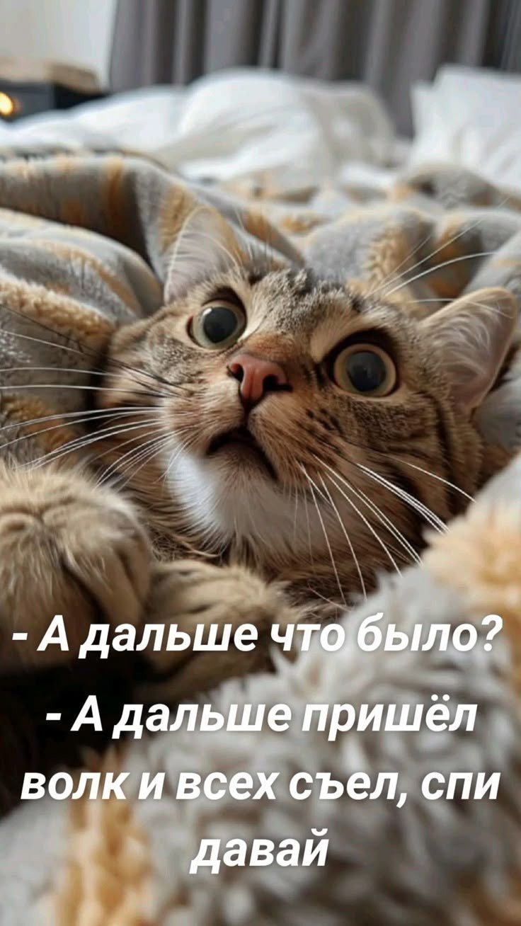О к А дальШе чт