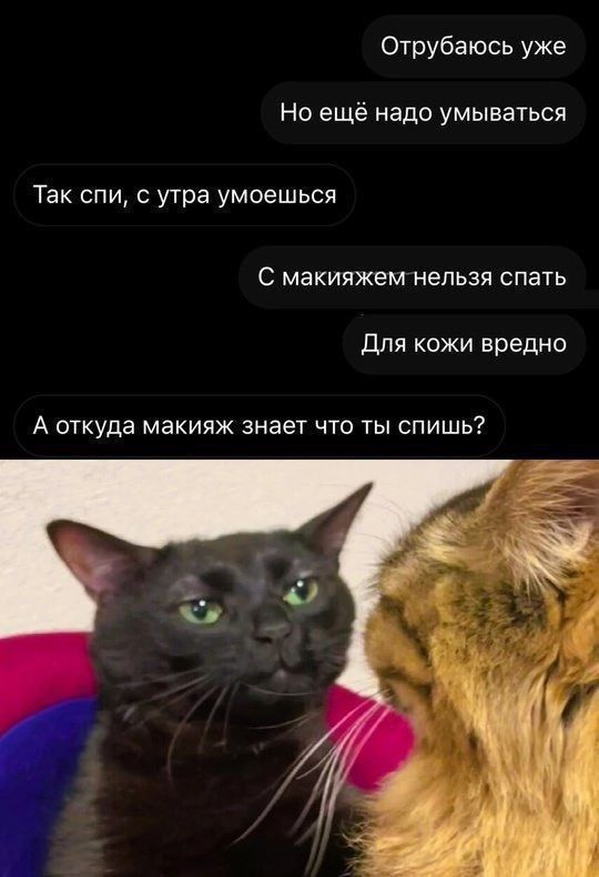 Отрубаюсь уже Но ещё надо умываться Так спи с утра умоешься С макияжем нельзя спать Для кожи вредно А откуда макияж знает что ты спишь