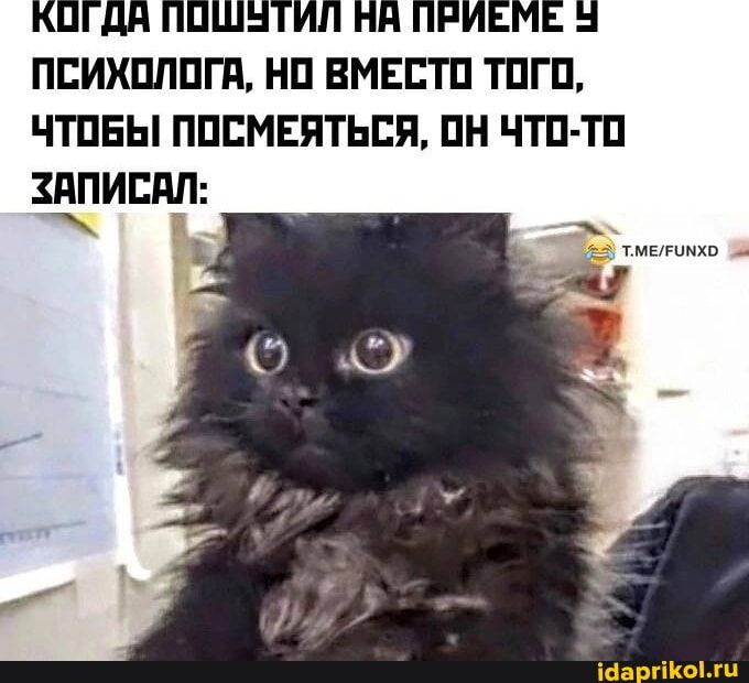ПСИХОЛОГА НО ВМЕСТО ТОГО ЧТОБЫ ПОСМЕЯТЬСЯ ОН ЧТО ТО ЗЩИШП ТМЕЛРИМКО